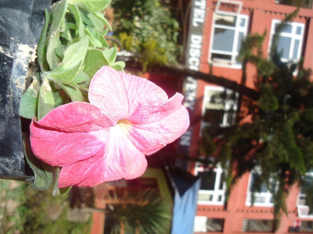 Hotel Discovery Inn Kathmandu Exterior photo